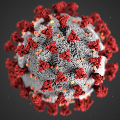 Illustration des Coronavirus