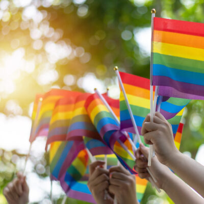 Hände halten Regenbogenflaggen hoch