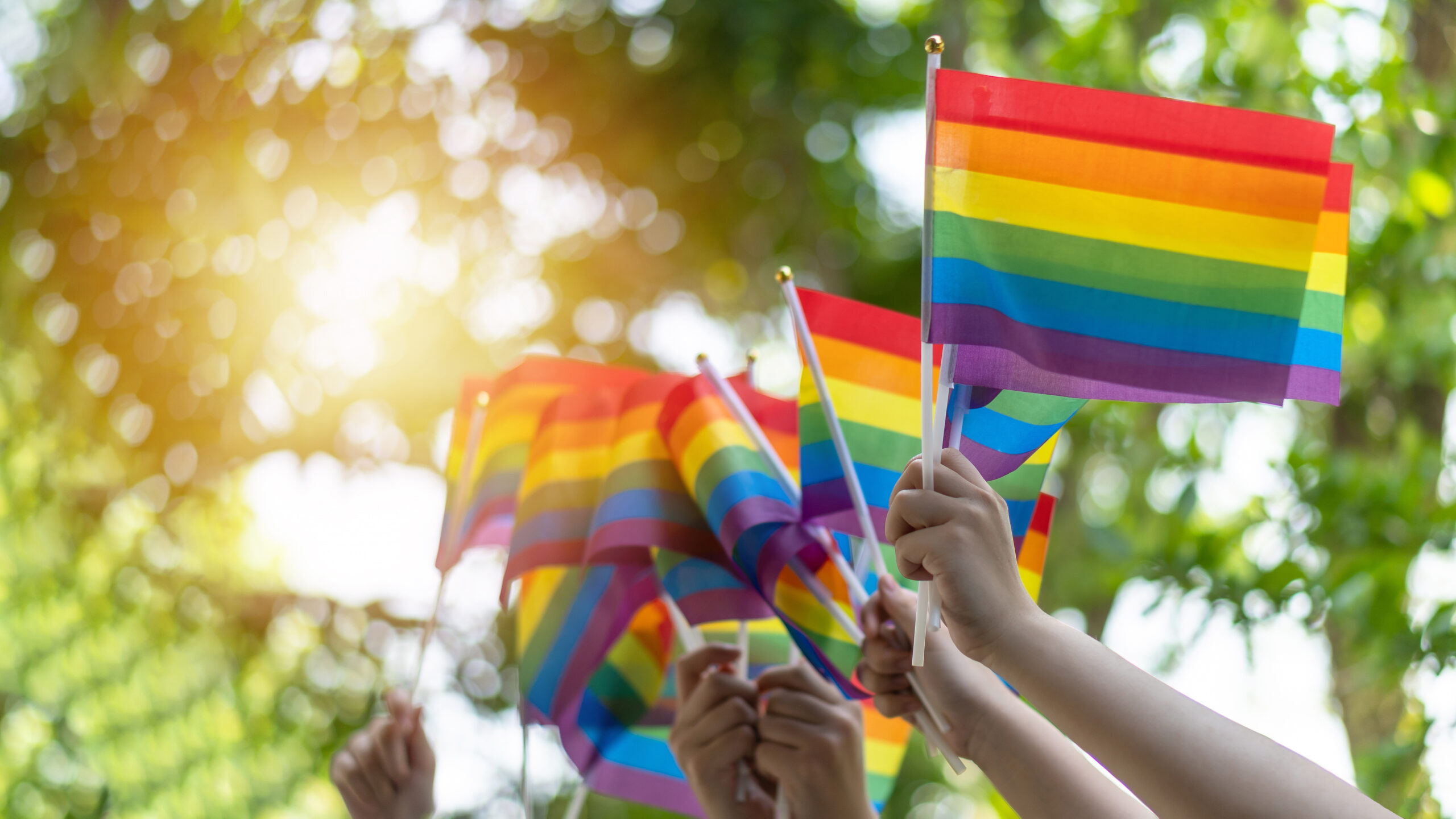 Hände halten Regenbogenflaggen hoch